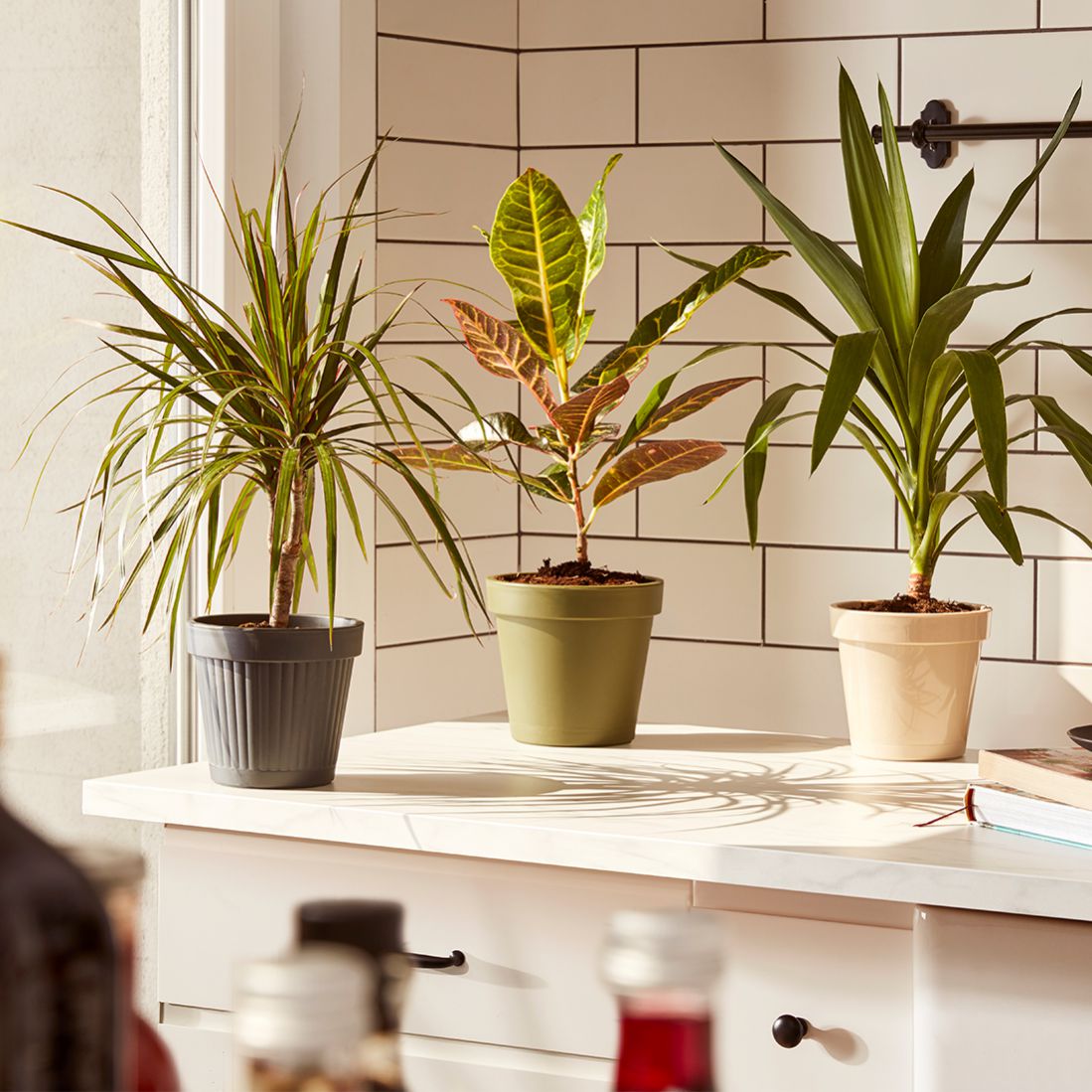 1,4 L Istanbul Flower Pot