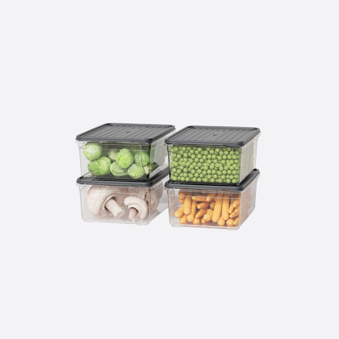 4 Parça Smart Saklama Kabı Set (4 x 1650 ml)